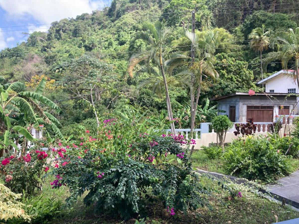 Stunning 2-Bed Apartment In Grand Roy Grenada Mount Nesbit Extérieur photo